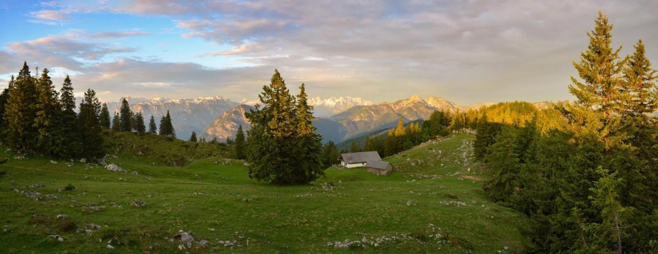 Chalet Harmonie Inzell Εξωτερικό φωτογραφία